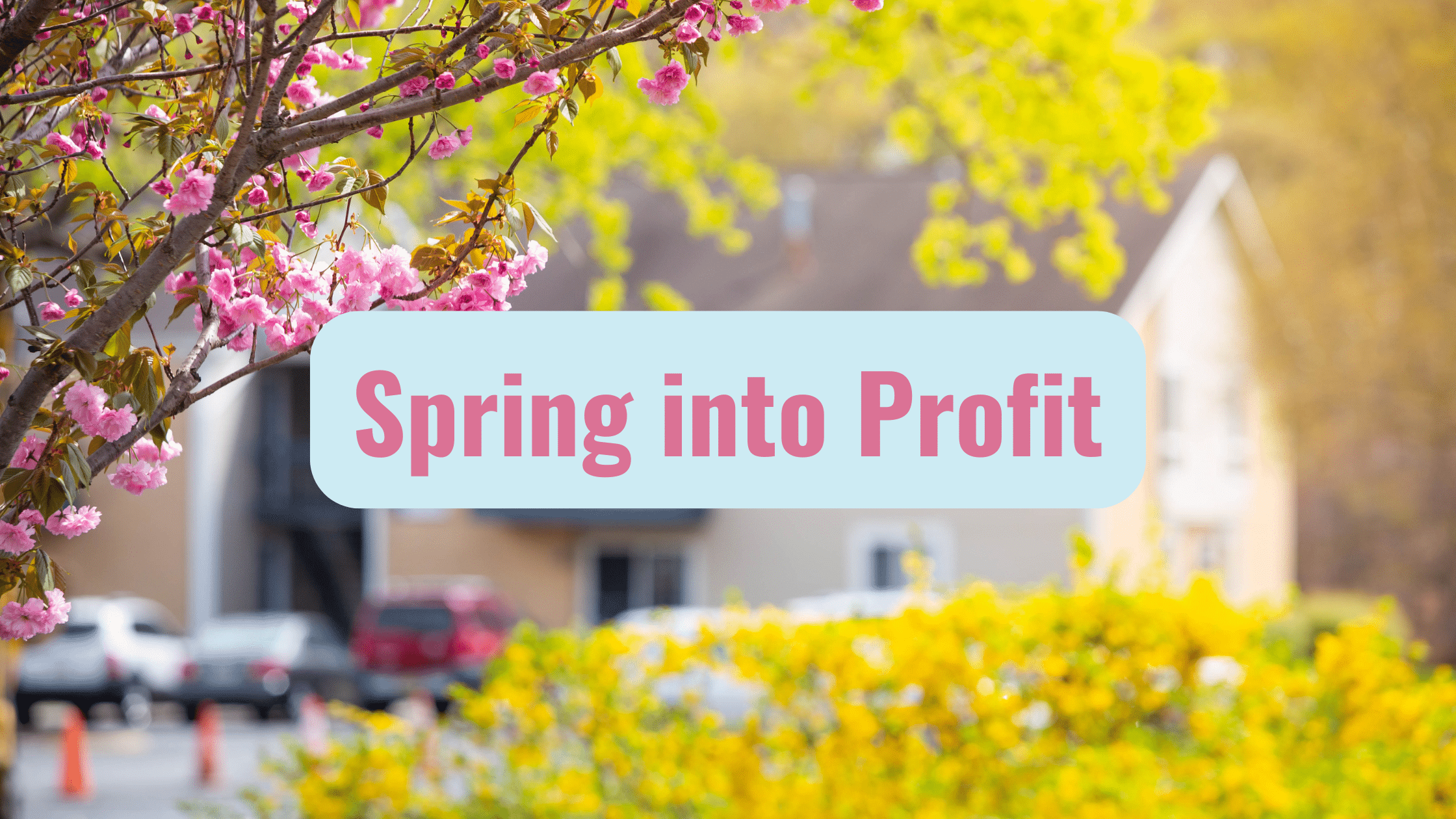Spring into Profit